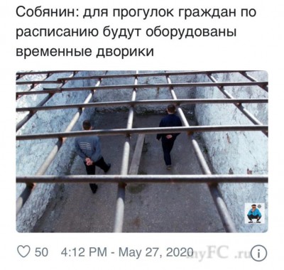 .jpg